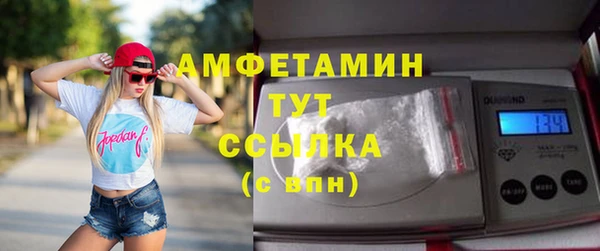 индика Осинники