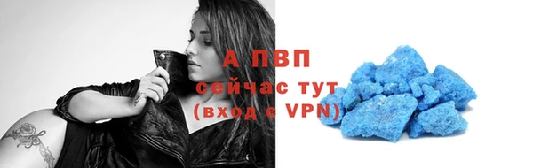 мяу мяу мука Тында