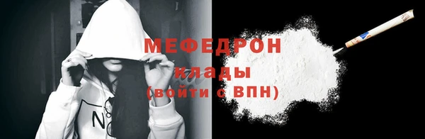 индика Осинники
