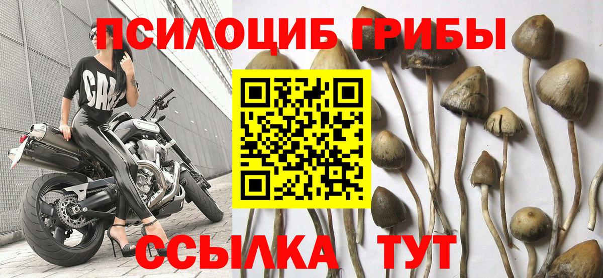 Псилоцибиновые грибы Magic Shrooms  Оренбург 