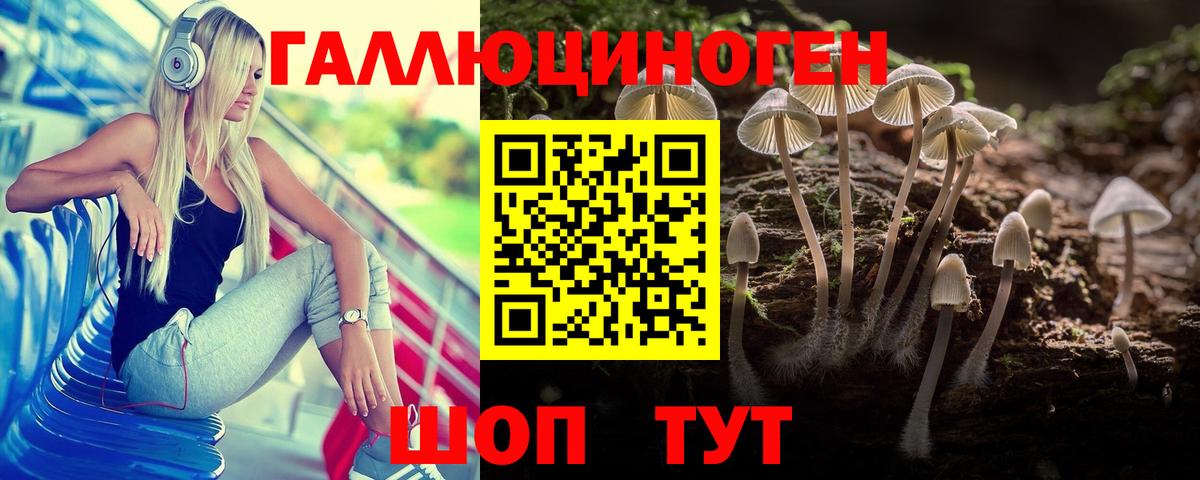 Галлюциногенные грибы Psilocybine cubensis Оренбург