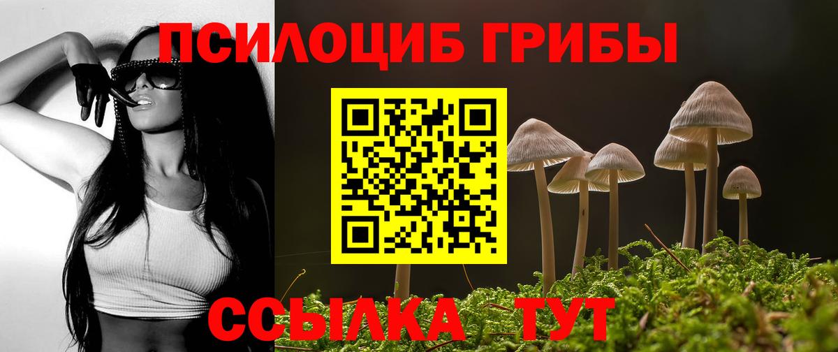 Псилоцибиновые грибы Psilocybine cubensis  Псилоцибиновые грибы мицелий  Вход с VPN  Оренбург 